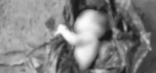 gabon-decouverte-dun-nouveau-ne-dans-les-toilettes-dune-eglise