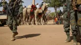 mali 69 attaques asymetriques font au moins 45 morts entre juin et aout dans le pays rapport