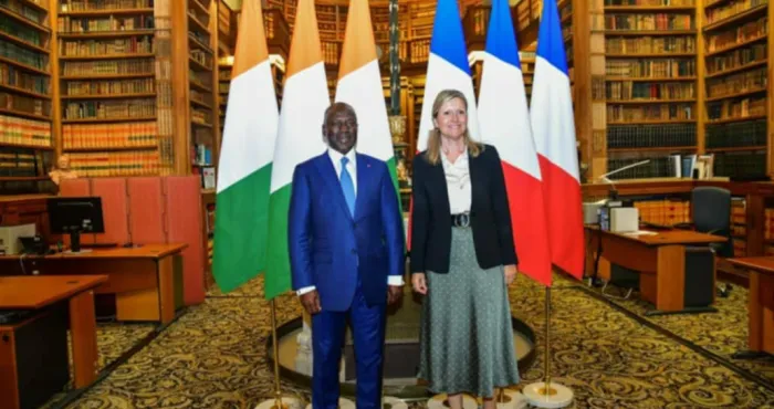 restitution-des-biens-culturels-lassemblee-nationale-francaise-appelee-a-statuer-apres-linitiative-du-president-bictogo