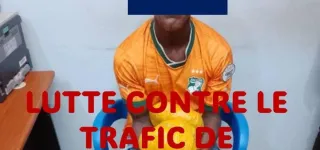 coup-de-filet-a-ebilassokro-10-kg-de-cannabis-saisis-un-suspect-arrete