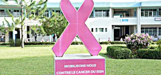 lutte-contre-le-cancer-du-sein-le-gouvernement-renforce-larsenal-therapeutique
