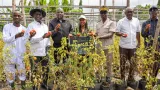 abidjan legacy program des jeunes formes en agriculture bio a grand lahou