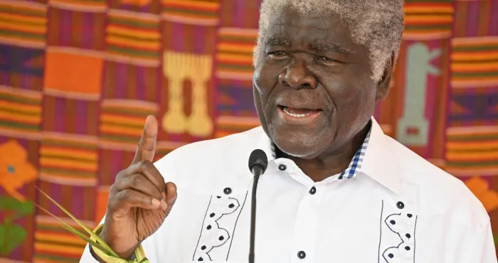 zokpa-festival-de-fresco-le-premier-ministre-beugre-mambe-parrain-de-la-7eme-edition