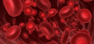 comprendre-les-globules-rouges-ce-que-peut-reveler-un-taux-bas-ou-eleve