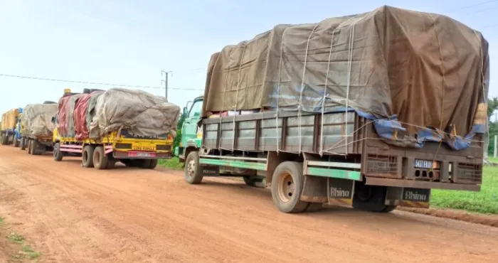 trafic-de-noix-de-cajou-le-cerveau-du-convoi-des-13-camions-arrete-a-bouna-apres-3-mois-de-caval