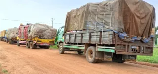 trafic-de-noix-de-cajou-le-cerveau-du-convoi-des-13-camions-arrete-a-bouna-apres-3-mois-de-caval