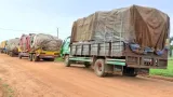 trafic de noix de cajou le cerveau du convoi des 13 camions arrete a bouna apres 3 mois de caval