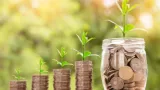 dossier lutte contre la pauvrete les recettes pour etre financierement independant
