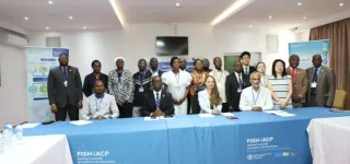 tilapia-ivoirien-une-production-locale-prete-a-bondir-dici-2031