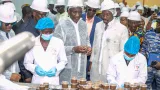 transformation du cacao local les freres diakite reveillent lindustrie du cacao de divo