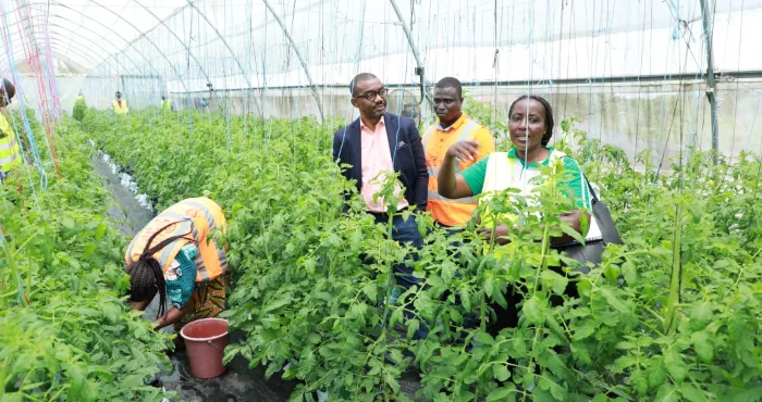 emploi-des-jeunes-la-cote-divoire-muscle-sa-strategie-pour-un-avenir-sans-chomage