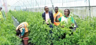 emploi-des-jeunes-la-cote-divoire-muscle-sa-strategie-pour-un-avenir-sans-chomage