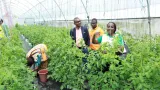 emploi des jeunes la cote divoire muscle sa strategie pour un avenir sans chomage