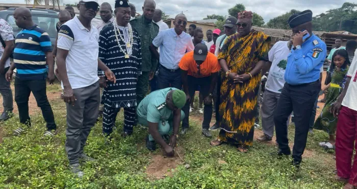 reboisement-plus-de-200-tecks-plantes-a-daoukro