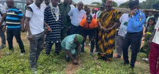 reboisement-plus-de-200-tecks-plantes-a-daoukro