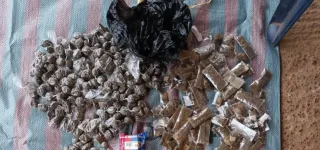 lutte-contre-les-stupefiants-la-police-detruit-3-fumoirs-a-gagnoa