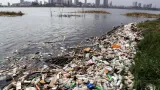 pollution a grand bassam le mirah interdit la consommation de poissons de la lagune ouladine