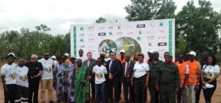 kongofon-reconstitution-du-couvert-forestier-250-arbres-plantes