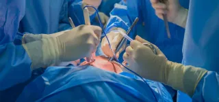 chine-des-chercheurs-reussissent-la-greffe-dun-poumon-de-porc-sur-un-homme-en-etat-de-mort-cerebrale