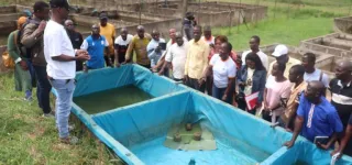 bouake-des-producteurs-dalevins-formes-pour-booster-la-pisciculture-ivoirienne