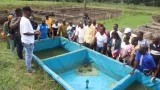 bouake des producteurs dalevins formes pour booster la pisciculture ivoirienne
