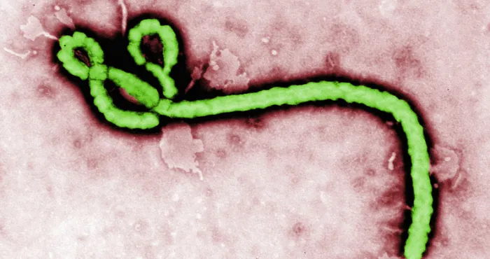 rdc-une-epidemie-debola-cause-au-moins-16-morts-au-kasai