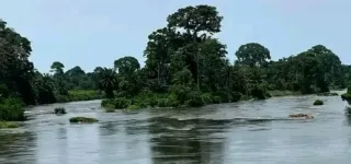 un-hippopotame-fait-chavirer-une-embarcation-sur-le-fleuve-sassandra-11-personnes-portees-disparues