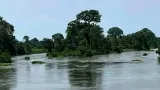 un hippopotame fait chavirer une embarcation sur le fleuve sassandra 11 personnes portees disparues