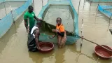 aquaculture des gestionnaires apprennent de nouvelles techniques decloserie