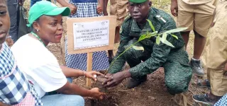 operation-de-planting-darbres-a-tiassale