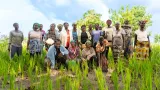 zone rurale le gouvernement continue daccompagner les femmes agricoles