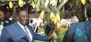 nouveau-prix-du-cafe-cacao-adjoumani-exprime-la-reconnaissance-des-producteurs-au-president-ouattara