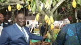 nouveau prix du cafe cacao adjoumani exprime la reconnaissance des producteurs au president ouattara