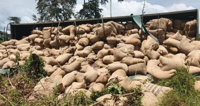 axe-blolequin-guiglo-un-camion-renverse-plus-de-40-tonnes-de-cacao-dans-un-accident