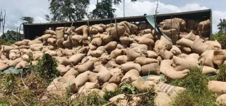 axe-blolequin-guiglo-un-camion-renverse-plus-de-40-tonnes-de-cacao-dans-un-accident