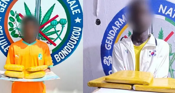 trafic-de-drogue-deux-individus-tombent-dans-les-filets-des-gendarmes