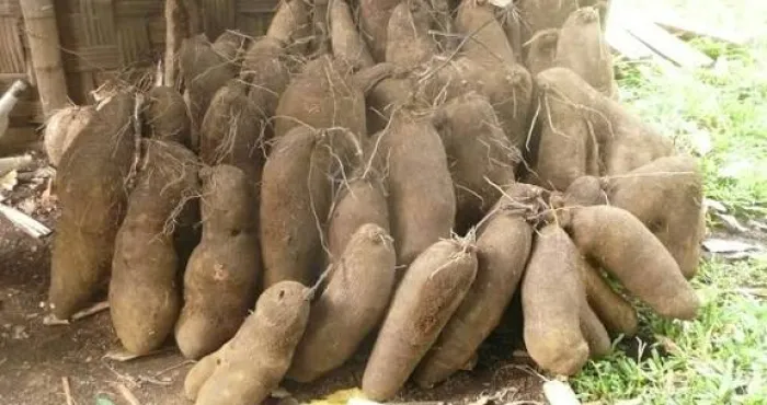 securite-alimentaire-le-gouvernement-donne-de-nouvelles-strategies