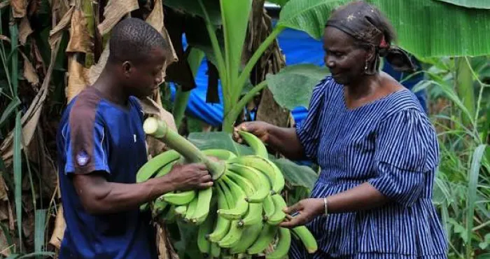 plus-de-5-millions-dagriculteurs-recoivent-une-couverture-sociale