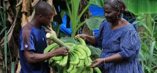 plus-de-5-millions-dagriculteurs-recoivent-une-couverture-sociale