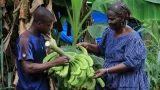 plus de 5 millions dagriculteurs recoivent une couverture sociale