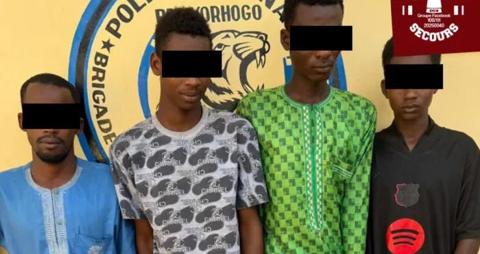 vol-de-betail-a-madoukaha-quand-un-taureau-fait-tomber-tout-un-reseau