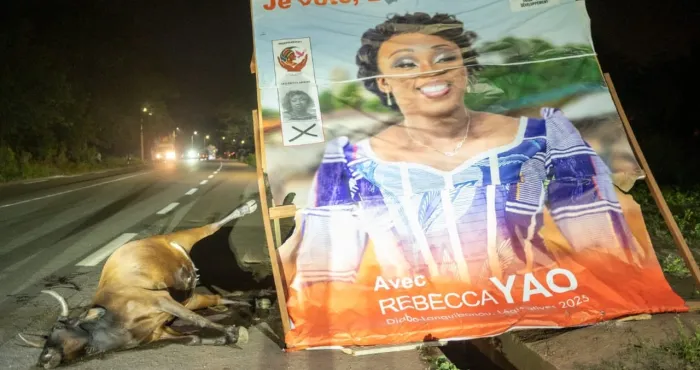 legislatives-2025-la-candidate-rebecca-yao-visee-par-un-acte-troublant