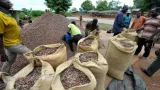 exportation-de-cacao-2-800-milliards-fcfa-recus-par-les-producteurs-en-moins-de-3-mois