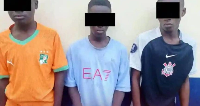 commissariat-du-12e-arrondissement-un-gang-des-mineurs-cambrioleurs-interpelle