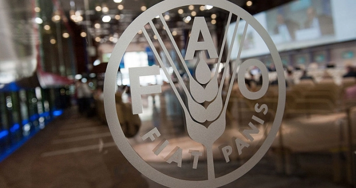 afrique-de-louest-une-crise-alimentaire-imminente-menace-plus-de-52-millions-de-personnes