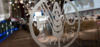 afrique-de-louest-une-crise-alimentaire-imminente-menace-plus-de-52-millions-de-personnes