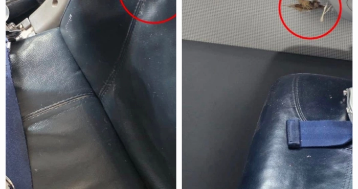 tirs-a-laeroport-de-niamey-un-avion-dair-cote-divoire-touche