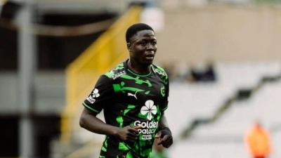 oumar-diakite-lelephant-assez-volontaire-mais-tres-peu-efficace