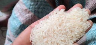 la-cote-divoire-vers-lautosuffisance-alimentaire