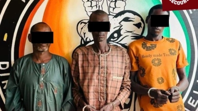 abengourou-38-boeufs-envoles-trois-bergers-arretes